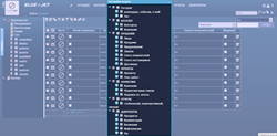 BLUEJET - управление доступом 1